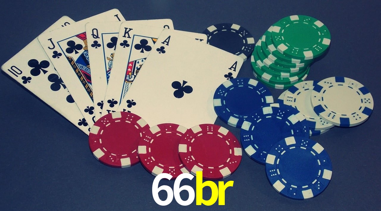 Experiência VIP 66br