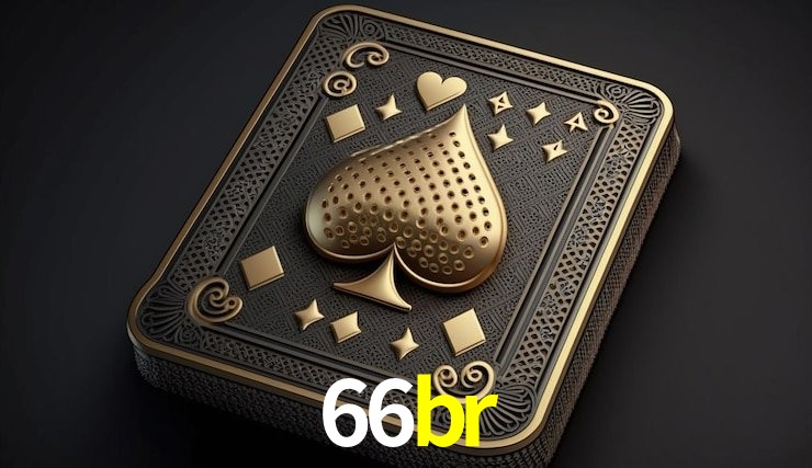 Experiência VIP 66br